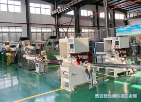 油脂皂化、肥皂成套生產(chǎn)線 FZ-2000